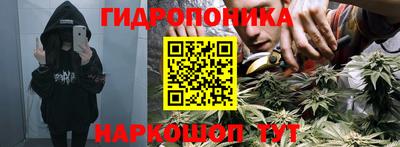 2c-b Будённовск