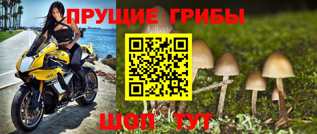 Галлюциногенные грибы мухоморы Курчалой