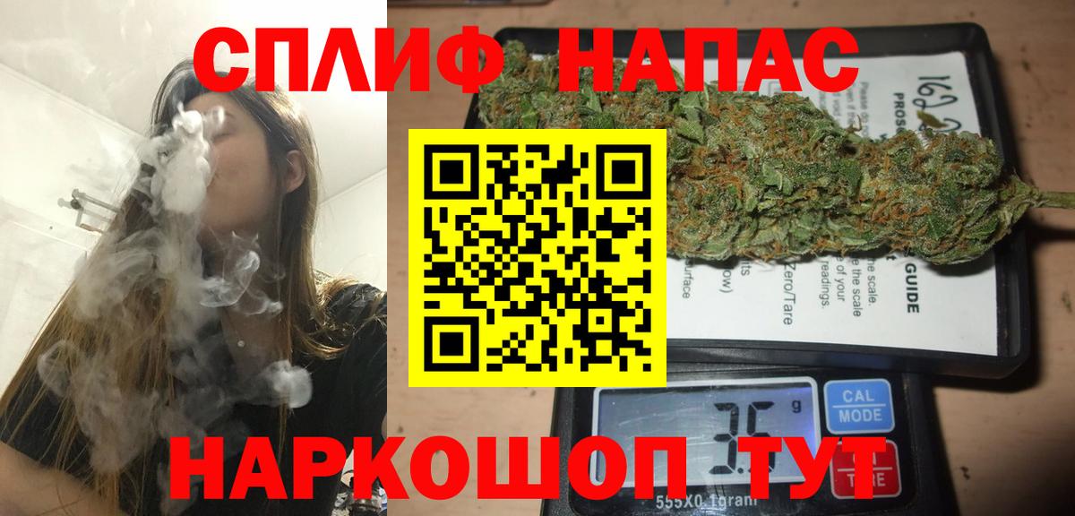 Конопля семена  Бошки марихуана гибрид  Курчалой  Вход с VPN 