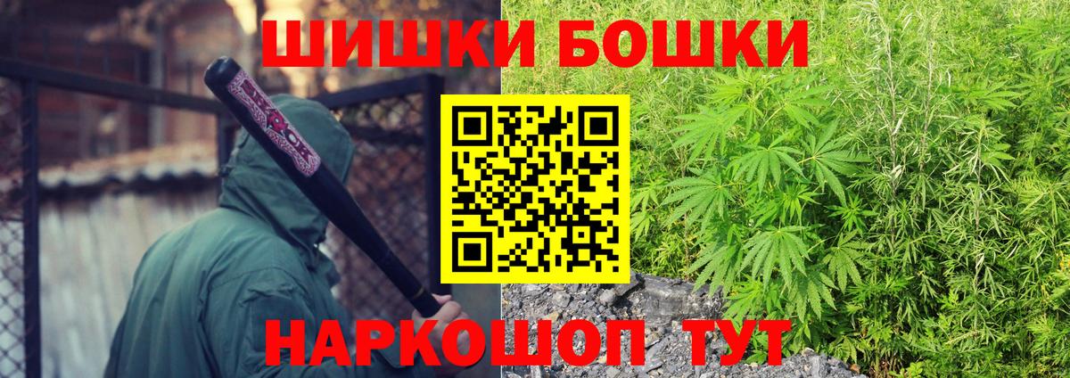 Конопля конопля Курчалой